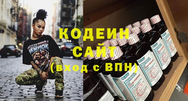 дурь Инсар