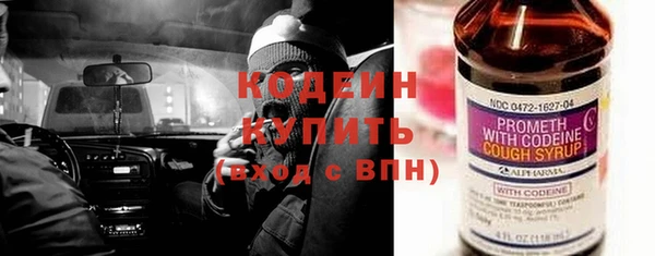 дурь Инсар