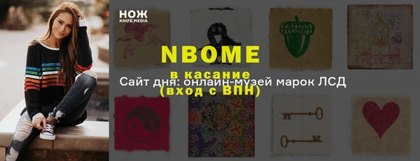 дурь Инсар