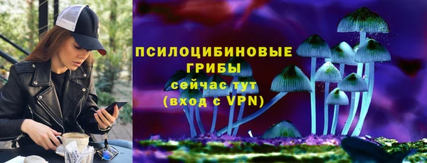 бошки Каменногорск