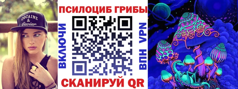 Купить закладки  Гусь-Хрустальный  Галлюциногенные грибы GOLDEN TEACHER 